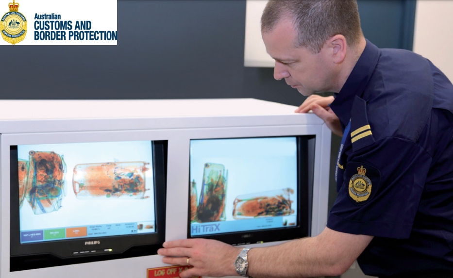 Australian Customs and Borders Officer viewing x-ray monitor