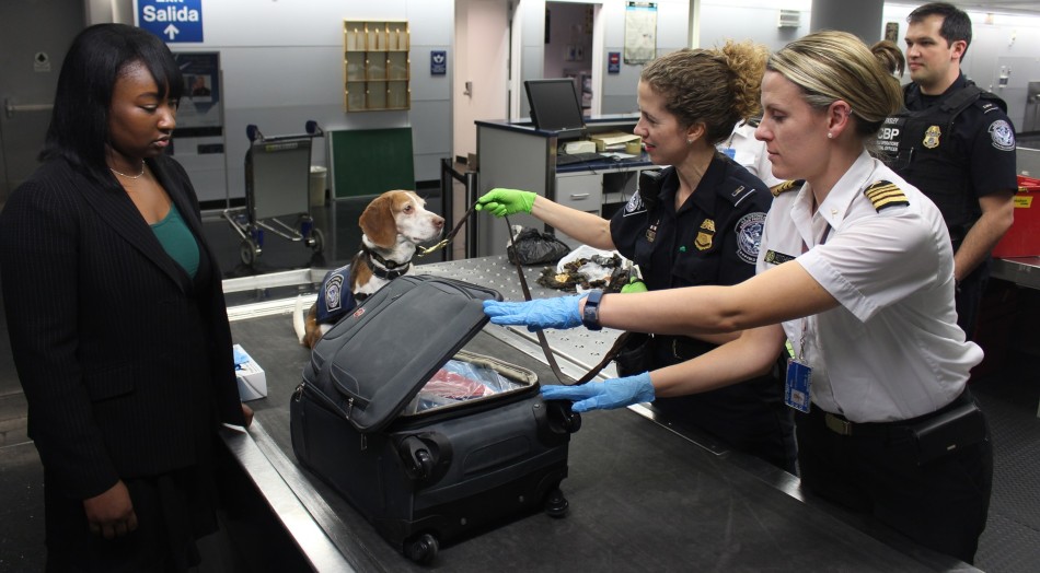 Customs officers and sniffer dog inspecting a passangers luggage