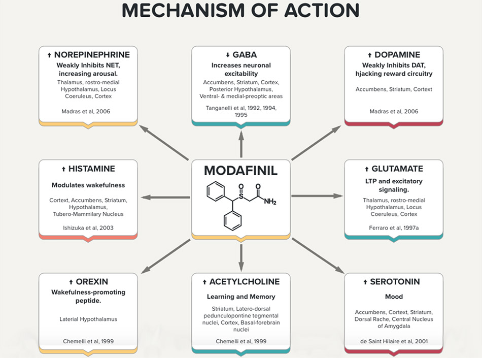 Modafinil Mechanism of Action Diagram