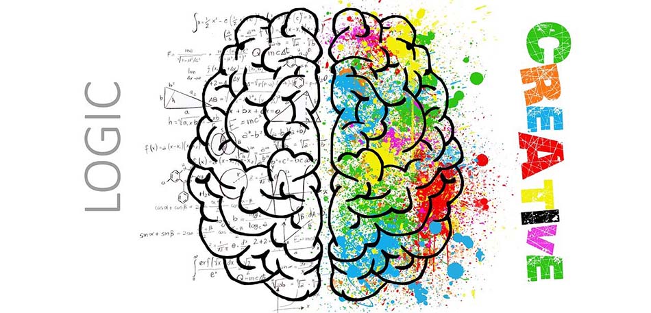 Activity in the Brain - Logic and Creative Sides | Modafinil Effects
